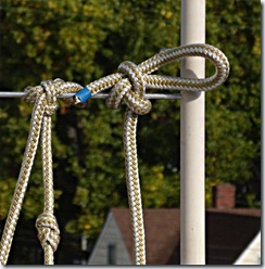 Improved-Fender-Whip-Step-10