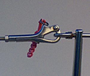 Pelican Hook / Gate Hook for a Lifeline
