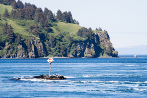 entrance to Whale Passage